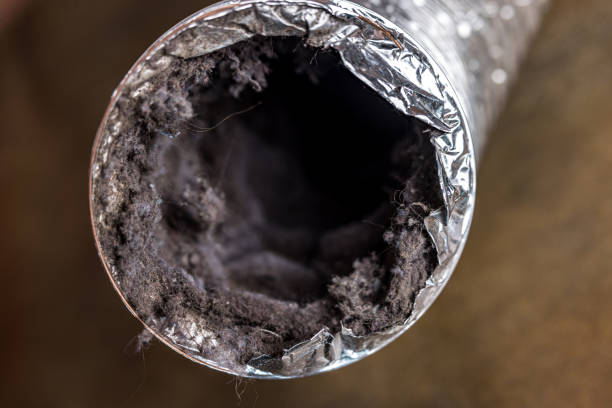 Best Air Duct Cleaning Near Me  in Montrose, PA